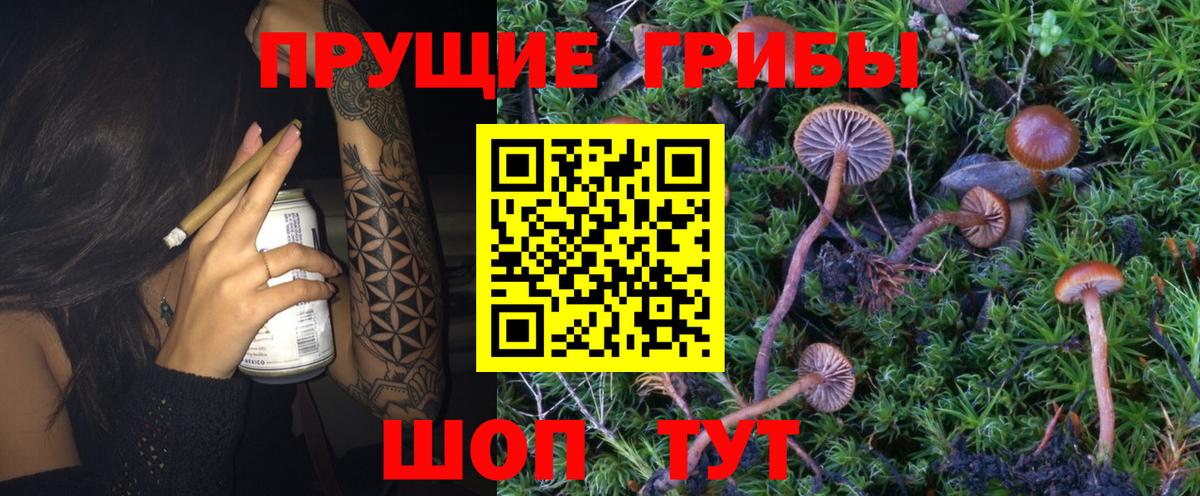 Псилоцибиновые грибы GOLDEN TEACHER Мирный