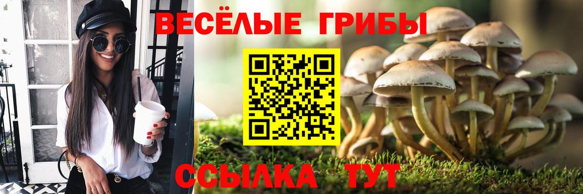 Мирный  Галлюциногенные грибы прущие грибы  Вход с VPN  Псилоцибиновые грибы Magic Shrooms 